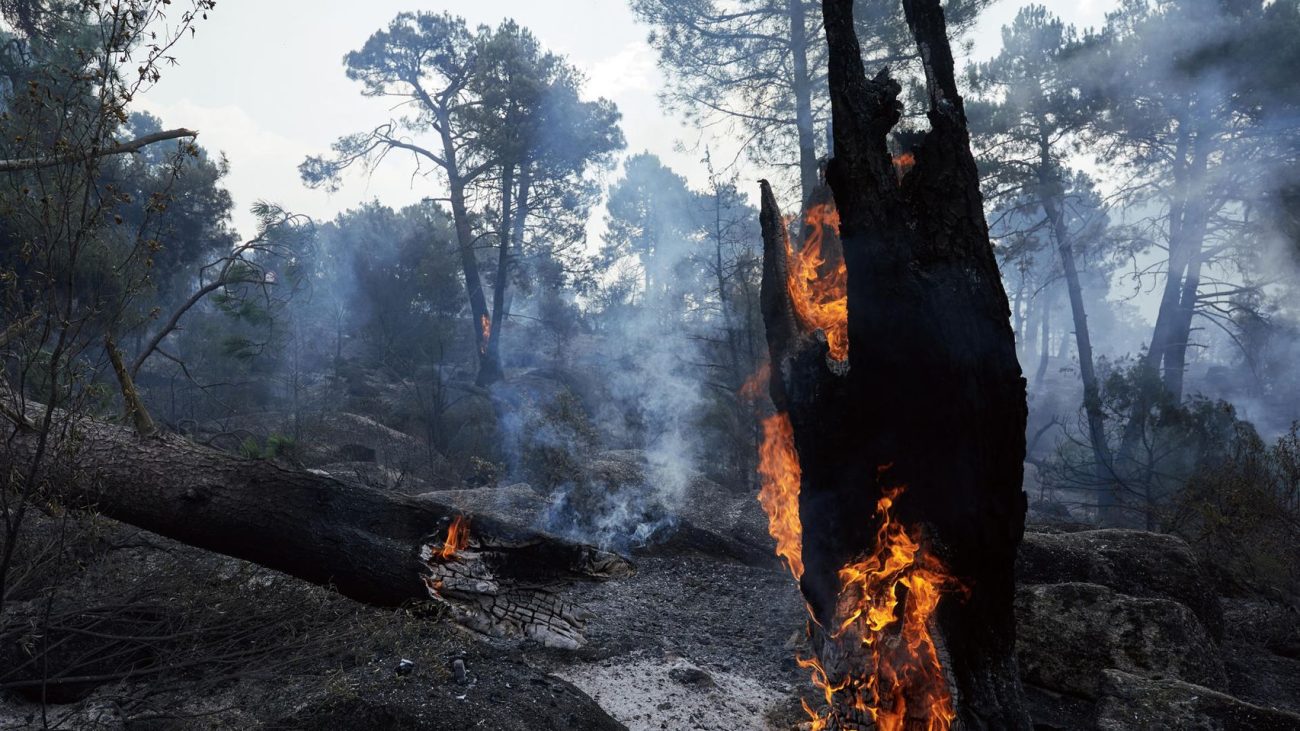Incendios en Madrid y resto de España, hoy en directo | Fuegos activos, mapa, carreteras cortadas y todos los municipios afectados