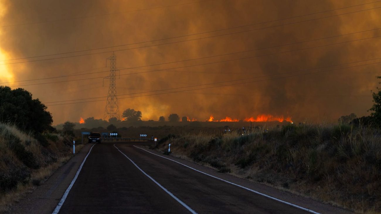 Estabilizados los incendios en Madrid y Ávila: preocupa el de Zamora, de nivel 2, y el de Vall d’Uxio sigue sin control