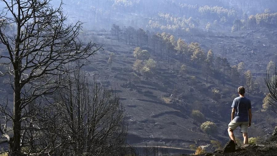 El incendio forestal de Ávila se pudo evitar: «Estaba prohibido y usaron maquinaria con cadenas para abrir un camino»