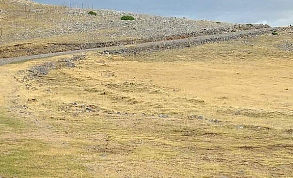 Las restricciones por el eclipse en La Rioja: prohibido ir en coche por caminos forestales durante el 12 y 13 de agosto – La Rioja