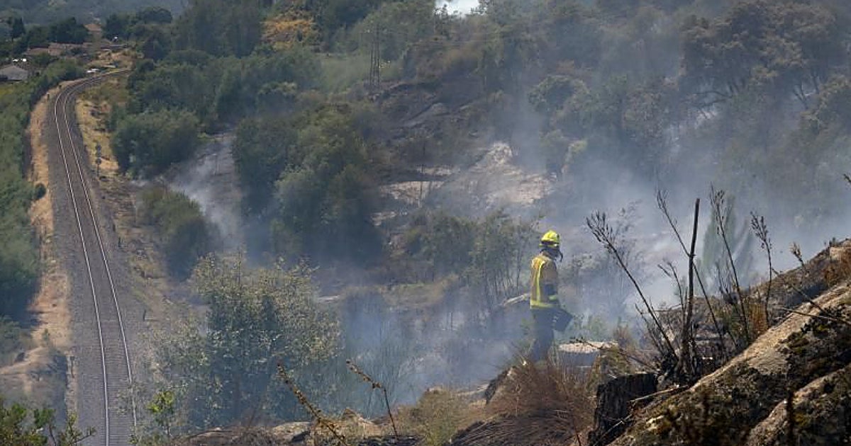 La nueva ley gallega contra los incendios forestales «flexibilizará» las quemas y los desbroces – ABC