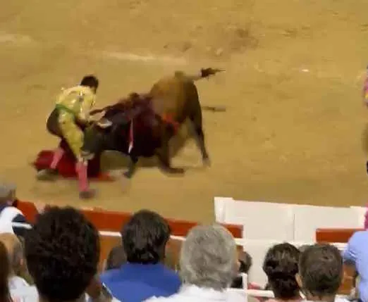 Morante de la Puebla, cogido en la nocturna de Palma de Mallorca