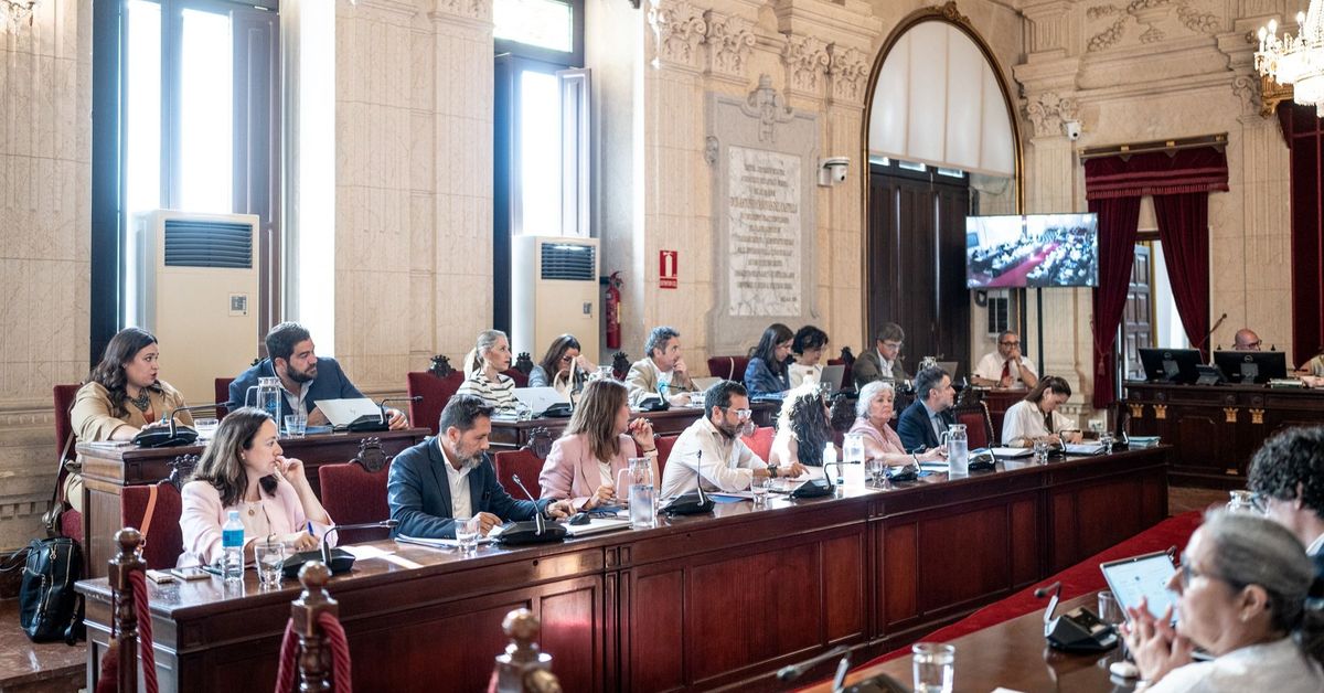 El Pleno de Málaga pide al Gobierno calendario y presupuesto para el tren litoral – Málaga Hoy
