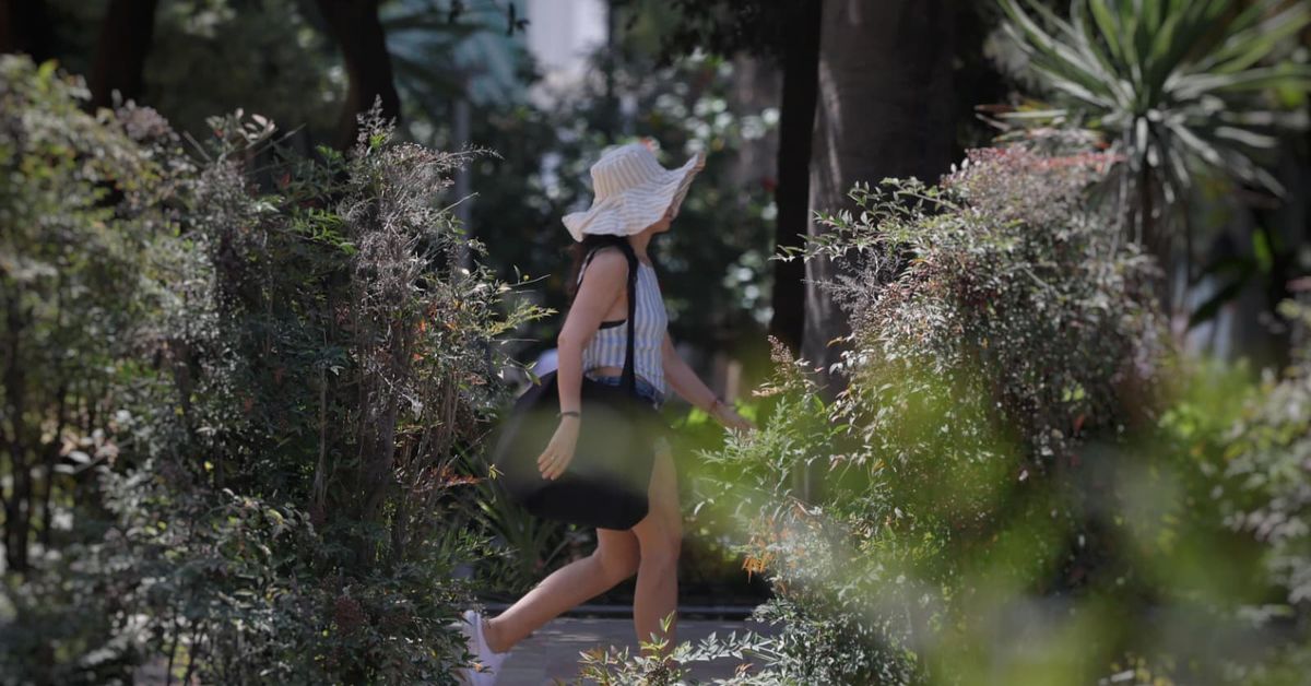 El interior de Málaga roza los 40 grados, con los termómetros más al alza – Málaga Hoy