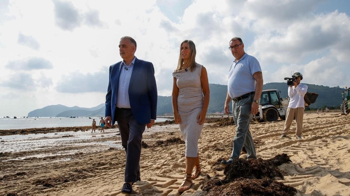 Cantabria califica de «problema medioambiental gravísimo» la invasión de alga asiática en Noja por ser un municipio turístico – elDiario.es