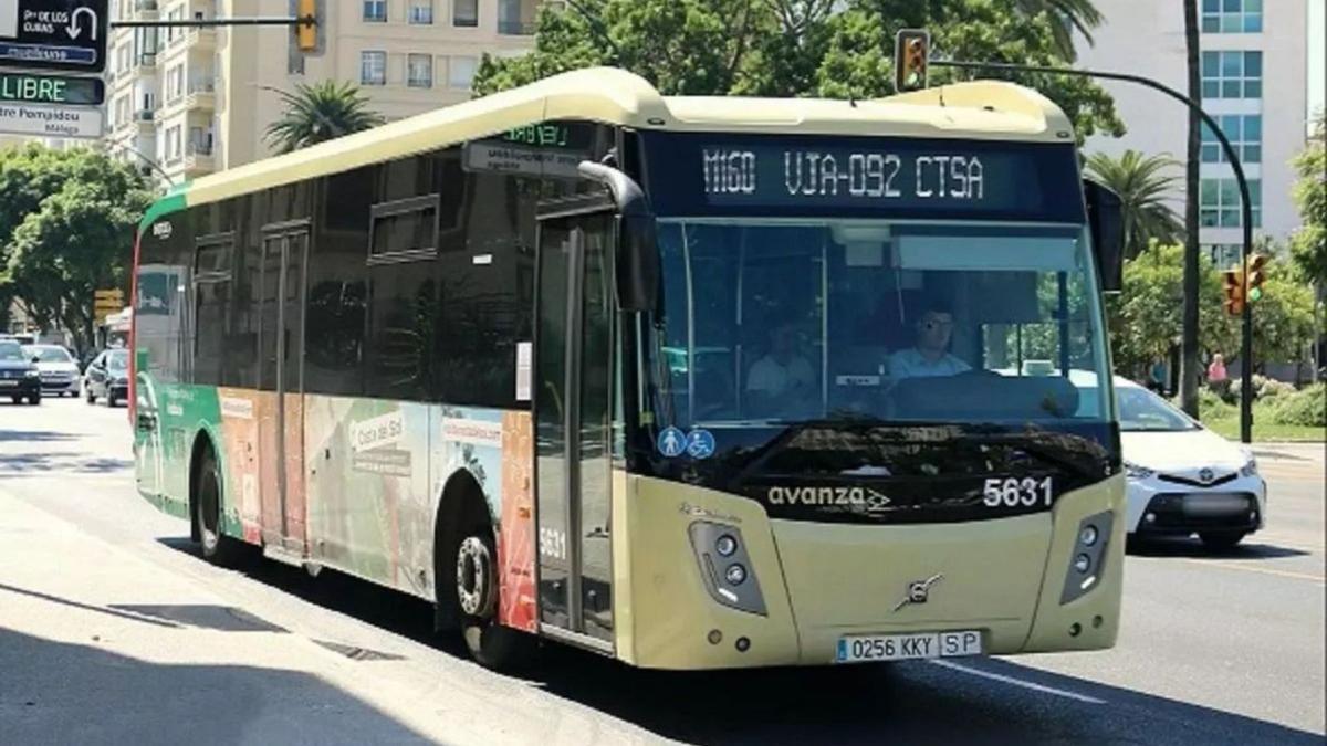 Nueva línea directa de autobús entre Torre del Mar y Málaga desde este jueves: estos son los horarios – La Opinión de Málaga
