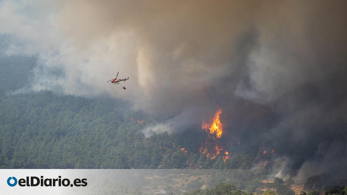 La Guardia Civil detiene a una persona e investiga a otra como autoras del incendio en Ávila