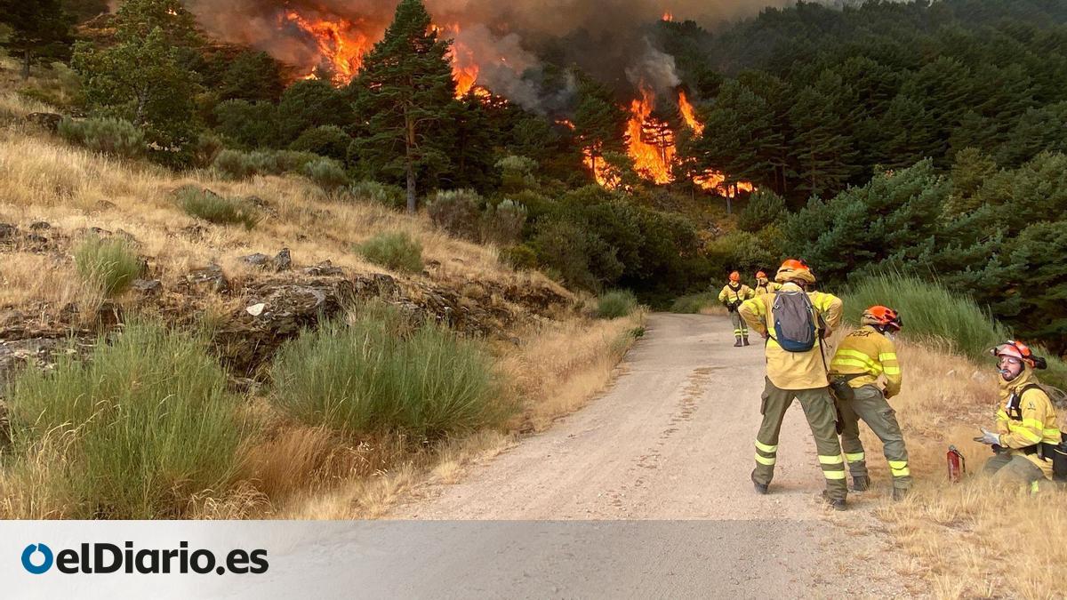 El Gobierno del PP en Extremadura dejó sin ejecutar en 2025 casi la mitad del presupuesto de prevención de incendios – elDiario.es