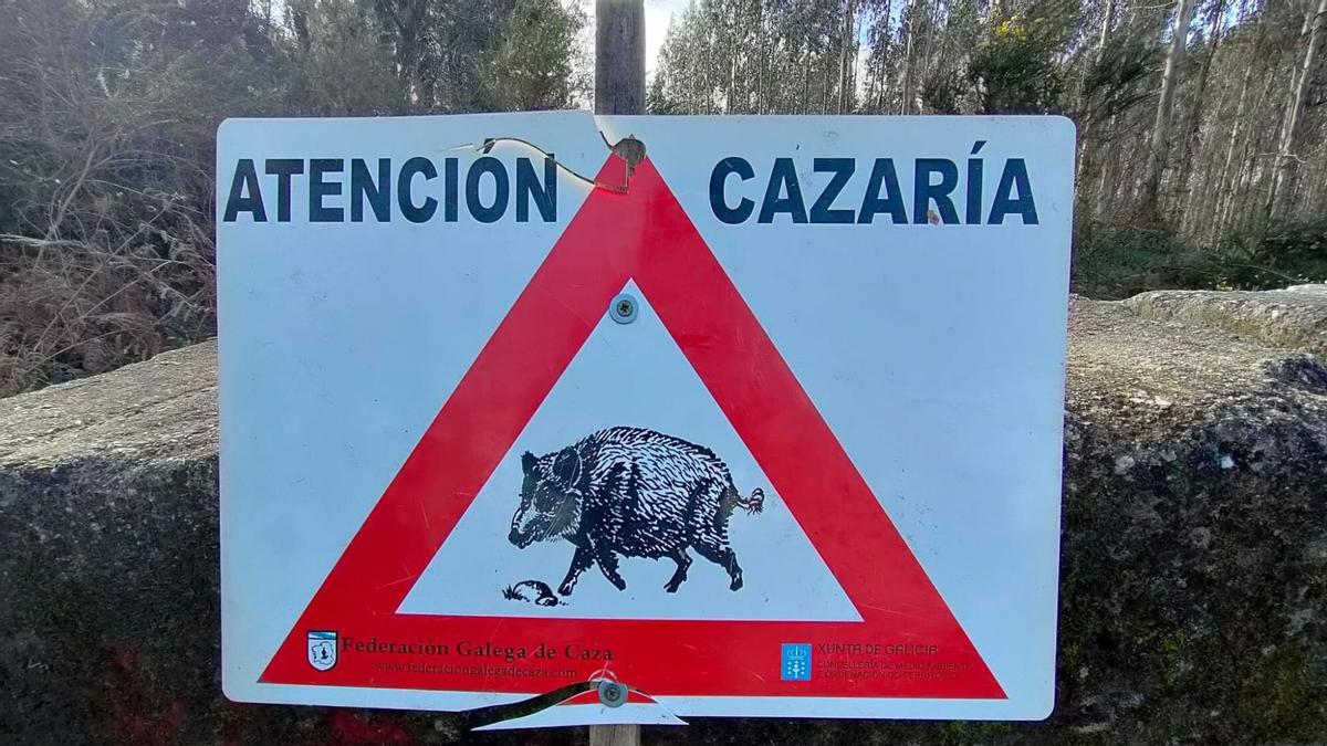 La Xunta declara toda Galicia en emergencia cinegética para frenar la expansión del jabalí – Faro de Vigo