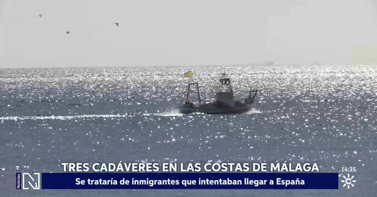 Salvamento Marítimo y Guardia civil recuperan tres cadáveres en Estepona y Manilva – Canal Sur
