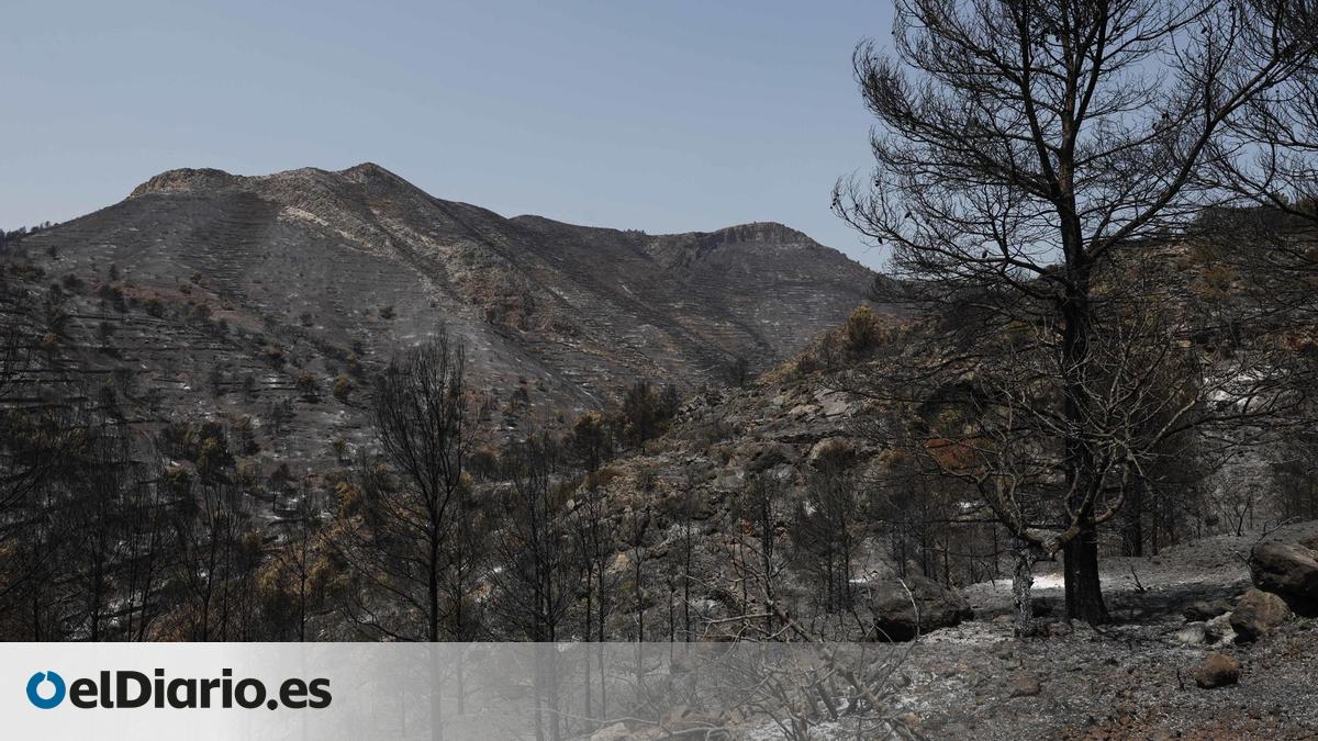El incendio de la Vall d’Uixó encara su sexto día contra un fuego activo pero ya perimetrado