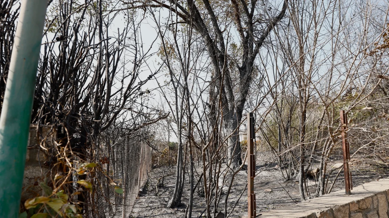 El Supremo rechaza la suspensión urgente de los plazos procesales en los juzgados de las zonas de los incendios