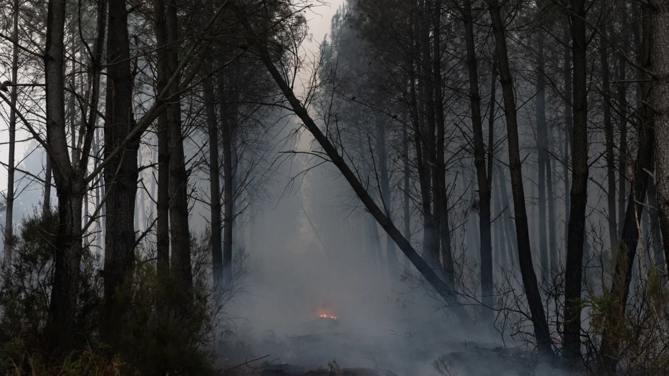 Incendio forestales en Castilla y León, en directo: última hora del fuego en Ávila – La Razón