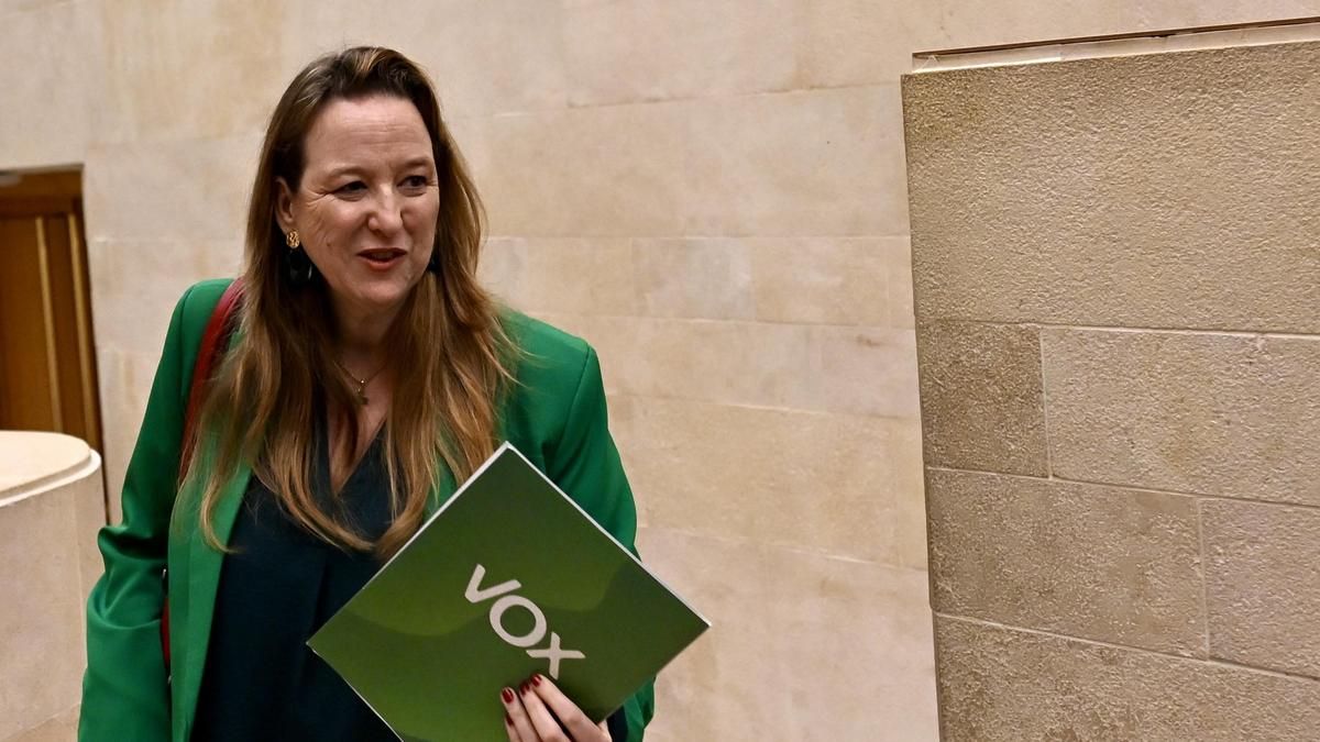 Investigada por grabar con un bolígrafo ‘espía’ la portavoz de Vox en el Parlamento cántabro – elDiario.es