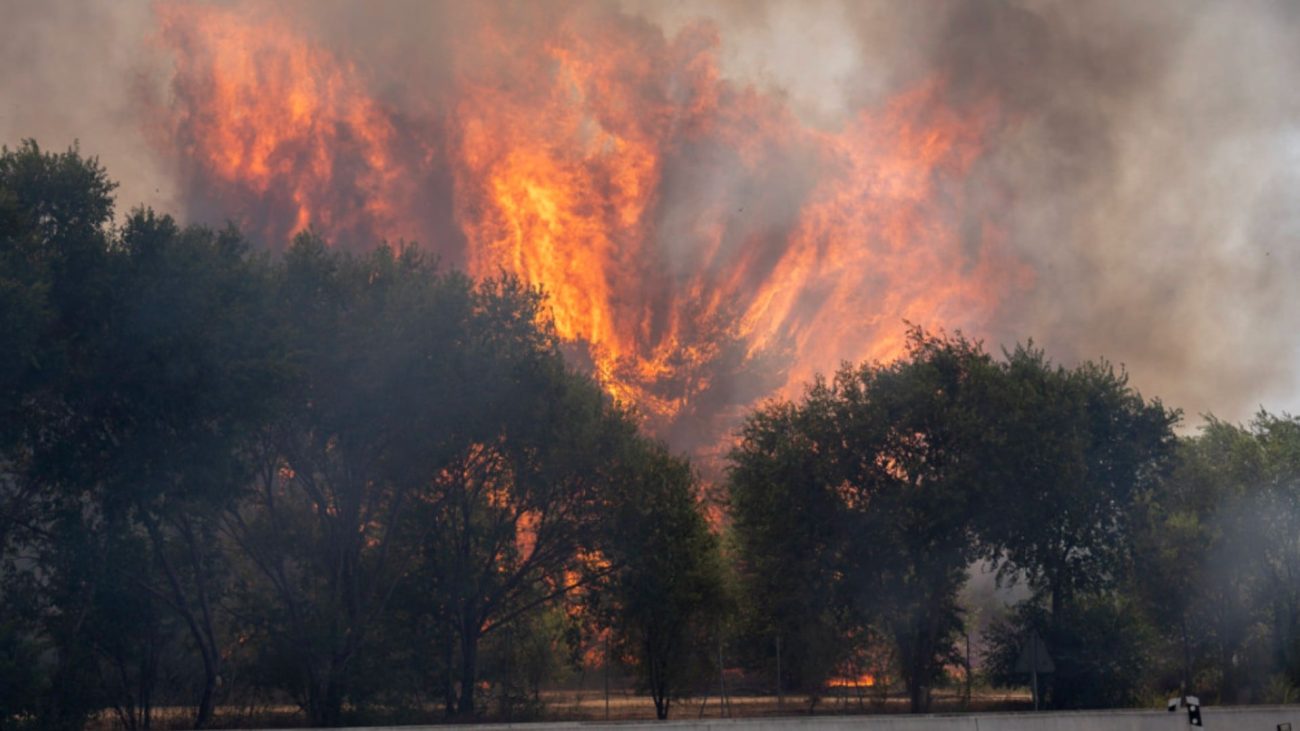 Incendios en España, en directo: última hora del fuego en Castilla y León y evolución en Madrid, Ávila, Toledo y Castellón – OkDiario