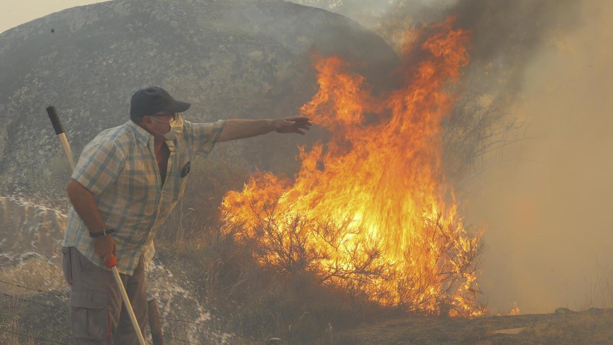 Incendios forestales en España hoy, en directo: última hora de la situación de los fuegos activos en Vall d’Uixó, Madrid y Zamora – El Periódico