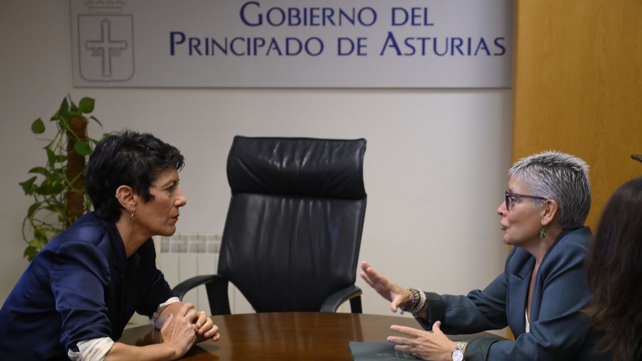 Elma Saiz ve Asturias como «tierra de acogida» y agradece la «lealtad» del Principado – La Voz de Asturias