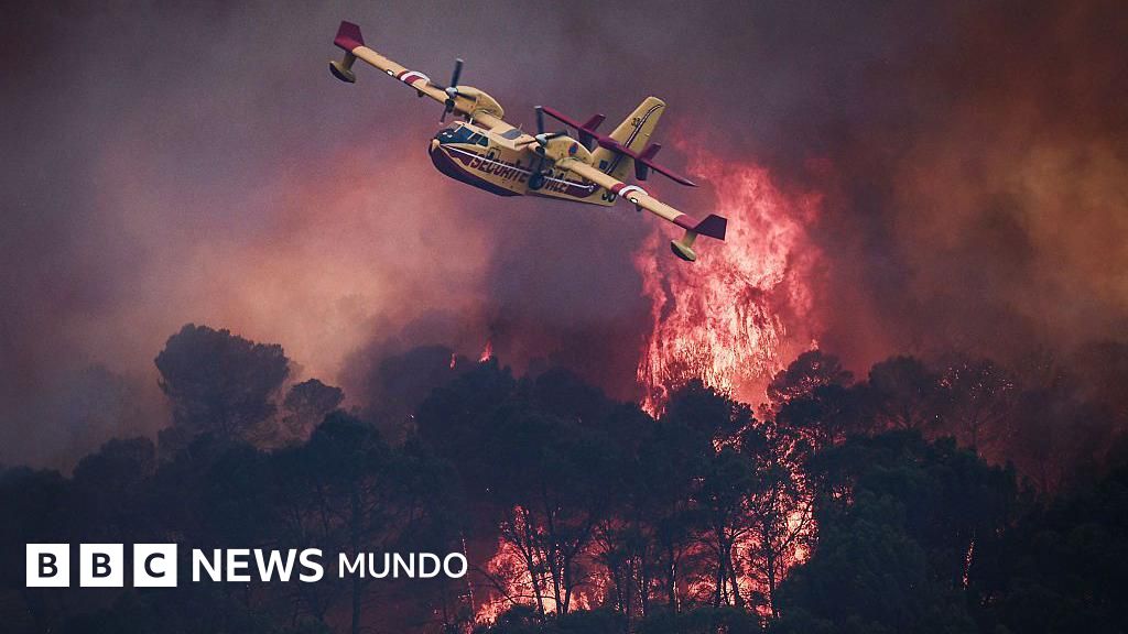 VIDEO | «Es una situación dramática»: los voraces incendios que obligan a miles a evacuar en el sur de Europa