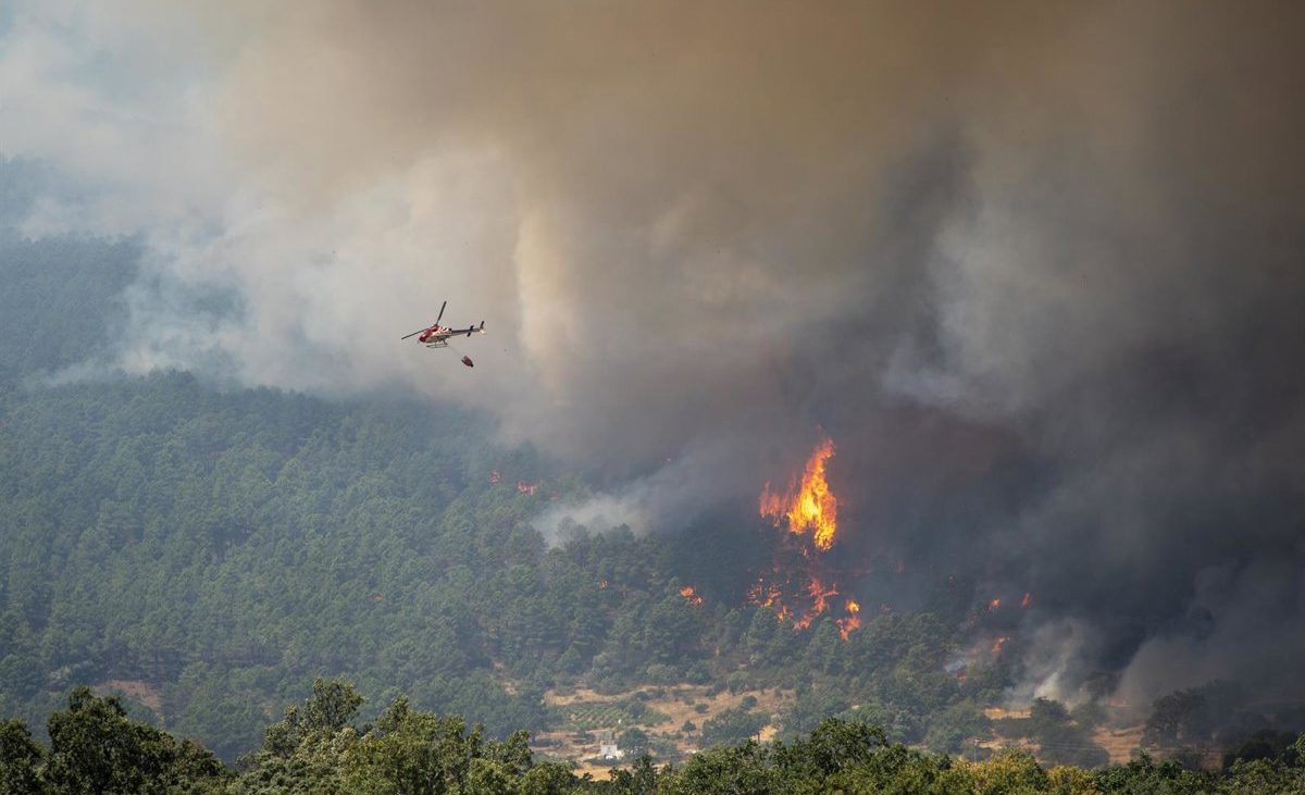 Varios fuegos activos arrasan decenas de miles de hectáreas en España: Los de la C.Madrid y Ávila, los que más preocupan