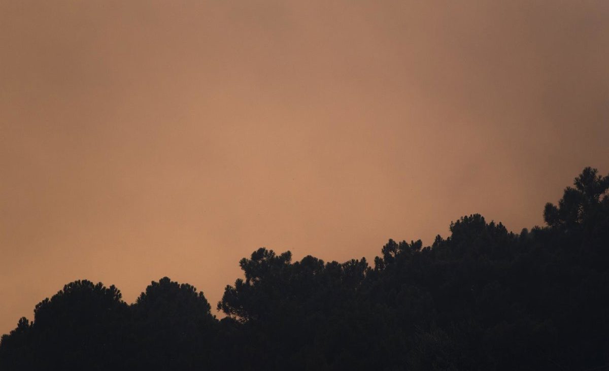 La ola de calor se prolongará desde hoy hasta el domingo con calor muy intenso y peligro muy alto o extremo de incendios