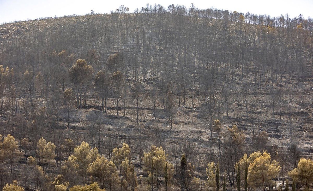 El fuego de la Vall d’Uixó arrasa 9.300 hectáreas y preocupa el flanco entre Tales y Alfondeguilla