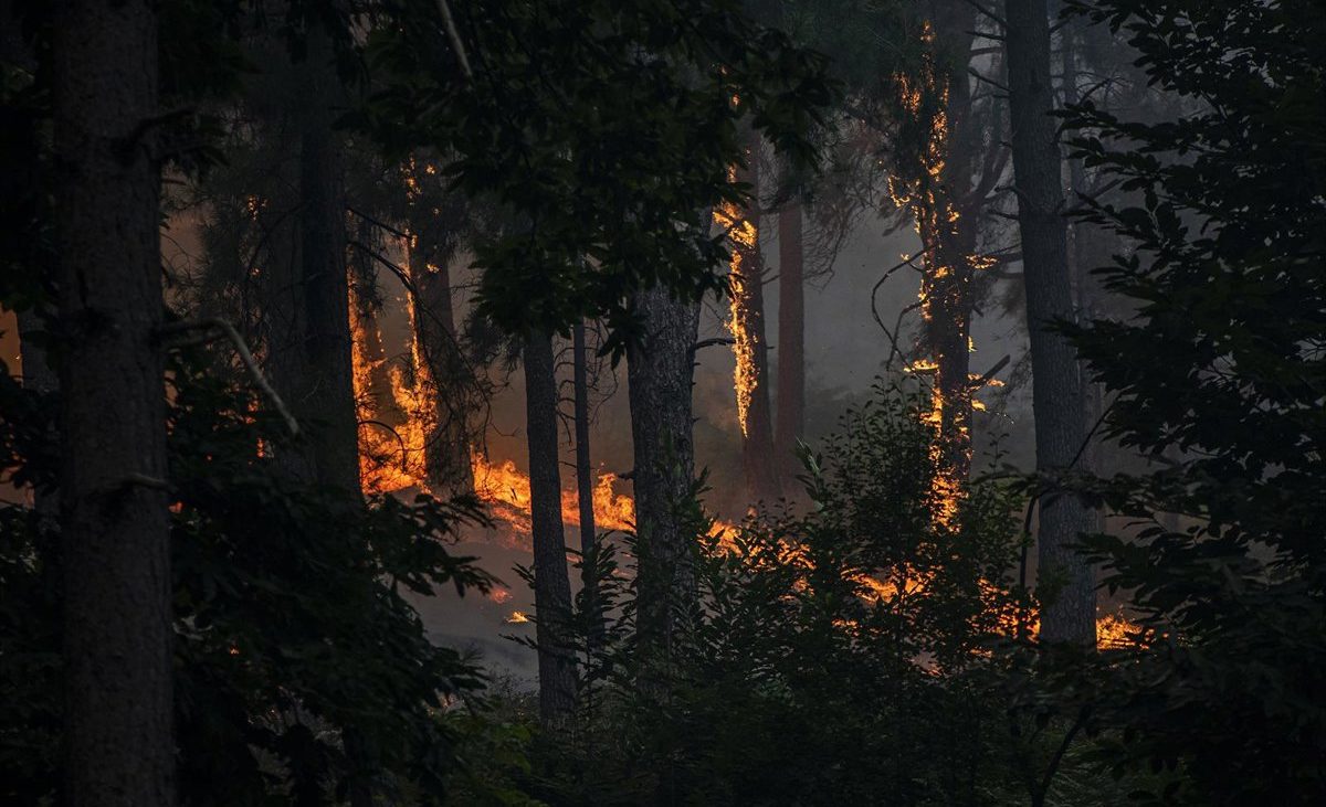 Incendios en España hoy, en directo: última hora en Madrid, Ávila y Castellón, focos activos y evacuaciones