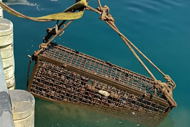 Estudian el efecto del envejecimiento submarino en 160 botellas de seis bodegas de la Axarquía – uma.es