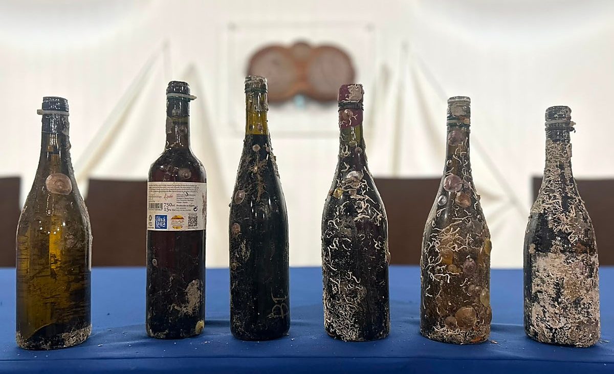 La UMA estudia 160 botellas de vinos de la Axarquía tras cinco meses envejeciendo bajo el mar – Diario Sur