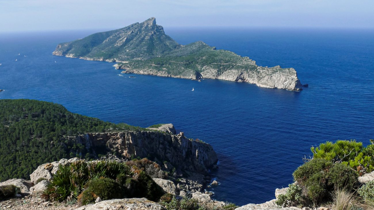 Los mares españoles se asfixian de calor: Baleares registra más de 33 ºC en sus aguas – RTVE.es