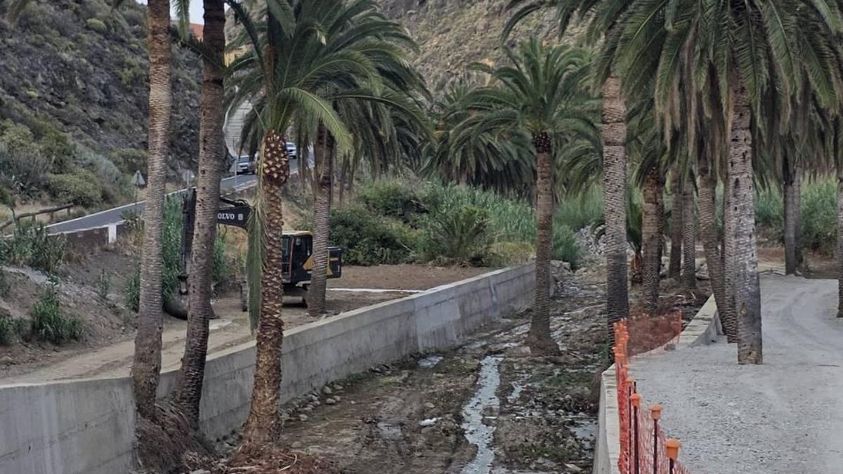 Hormigonar palmeras como modelo urbanístico: “Canarias lleva 50 años de turbo desarrollo y tiene que regenerar ciclos” – elDiario.es