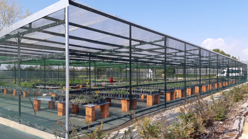 Los viveros de El Saler contarán con una nueva cámara climática para reproducir flora autóctona – Valencia News