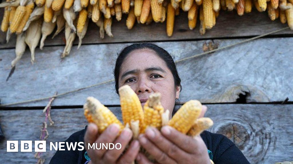 Los graves efectos que los científicos temen en América Latina por el fenómeno del «Súper El Niño»