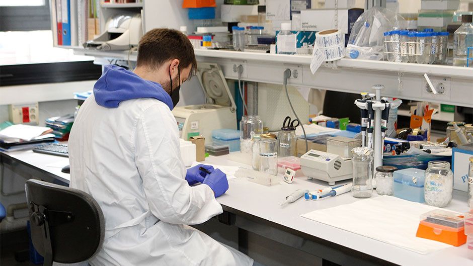 Cataluña mantiene en aislamiento domiciliario preventivo a 3 contactos del caso positivo de hantavirus en Galicia – Redacción médica