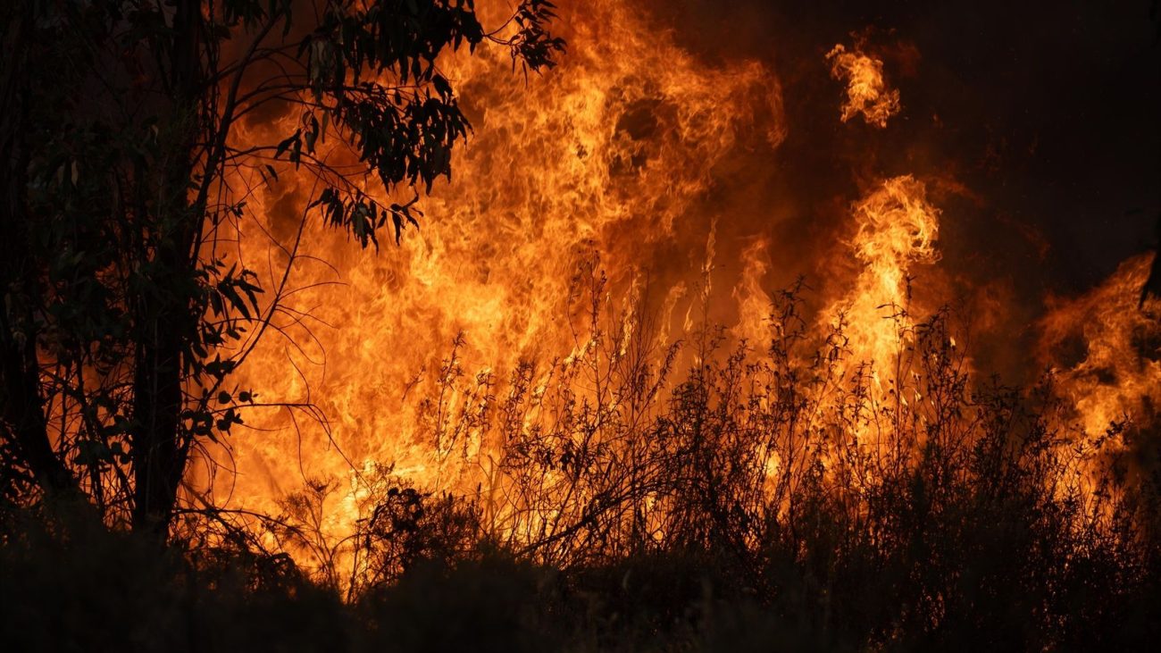 Una línea de defensa en los pueblos con «un fuego técnico» para frenar el incendio de Niebla: «Es muy imprevisible» – El Español