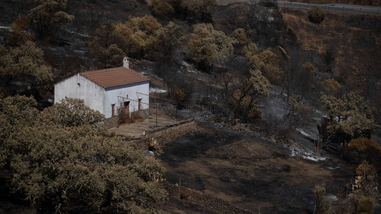 ¿Qué son las «islas naturales»?: los «refugios» que salvaron 5.000 hectáreas de las llamas en el incendio de Niebla – El Español