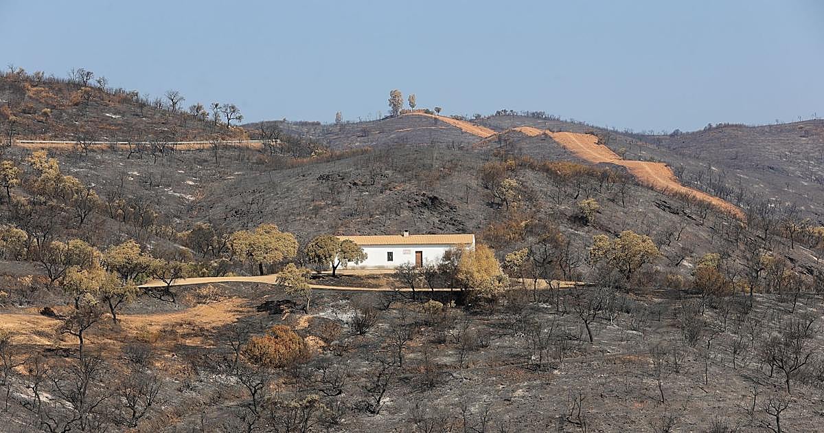 Municipios afectados por el incendio de Niebla piden la declaración de zona catastrófica – ABC