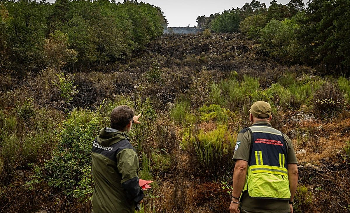 Medio Natural investiga las causas del incendio en el parque natural de Cebollera – La Rioja