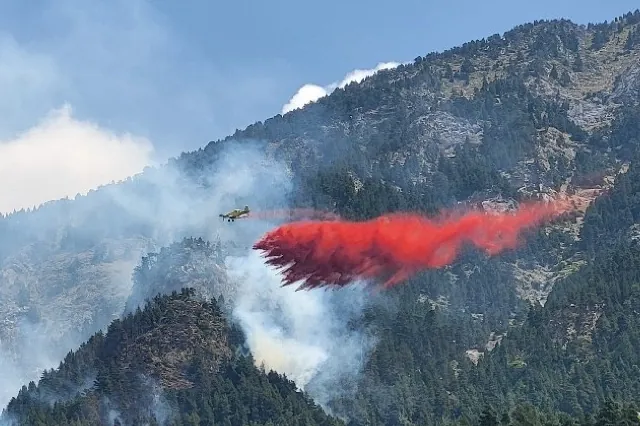 El viento reactiva el incendio de Senet, en el Pirineo de Lleida, originado por un rayo – El Mundo