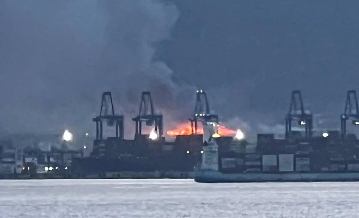 Efectivos de Bomberos y el Infoca intentan controlar un incendio en las inmediaciones de la carretera A-7 en Algeciras – El Mundo