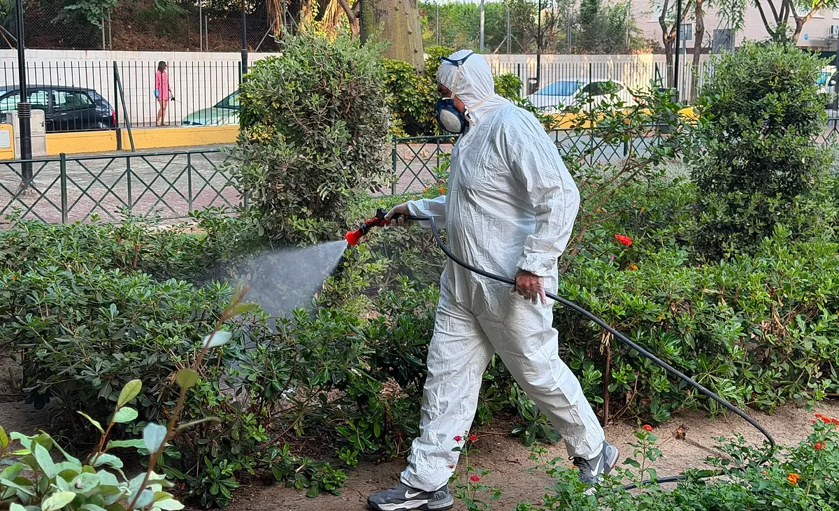 El Virus del Nilo pone en alerta al suroeste de España con 20 casos y un fallecido ya – El Mundo
