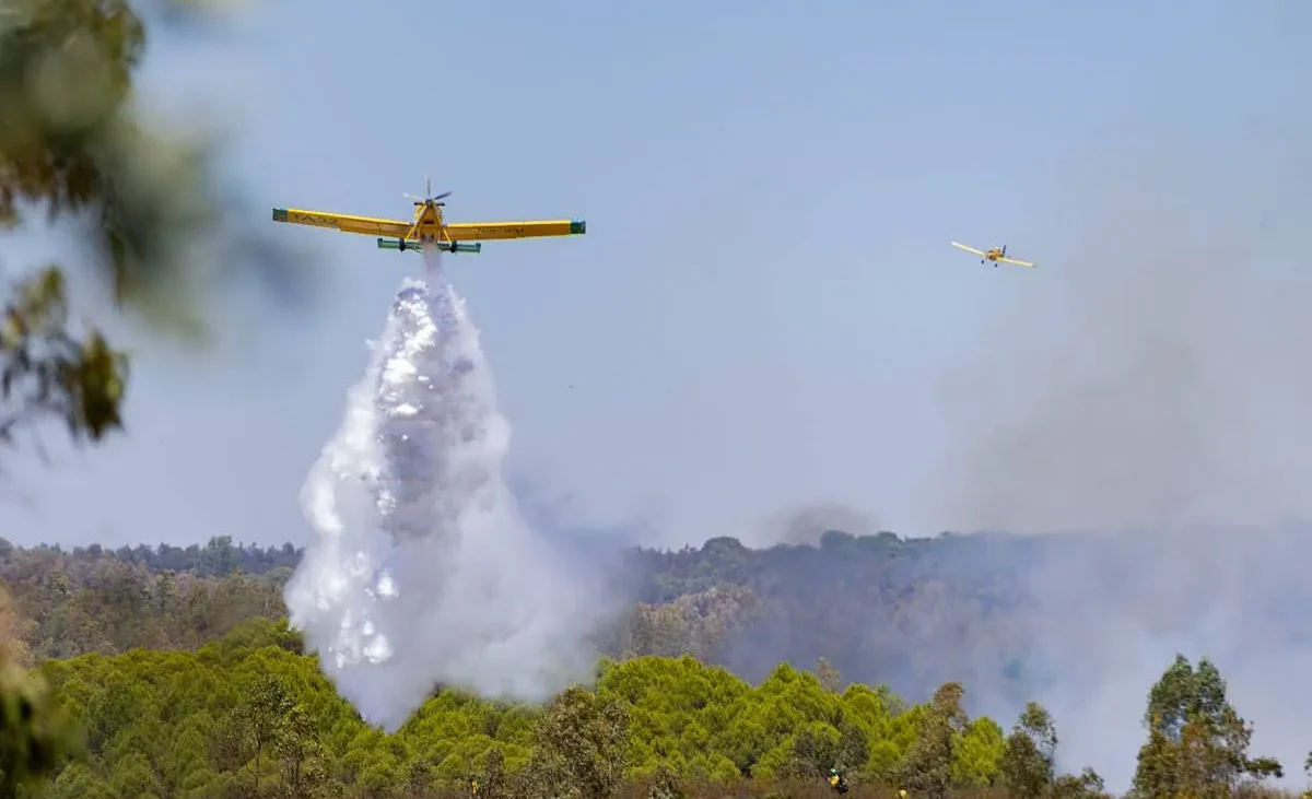 Elevan a nivel 2 la emergencia por el incendio de Niebla (Huelva) y piden ayuda a la UME – El Mundo
