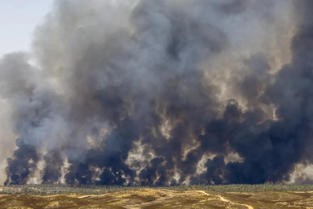 El incendio forestal en Niebla (Huelva) obliga al desalojo de unas 340 personas de varias localidades – El Mundo