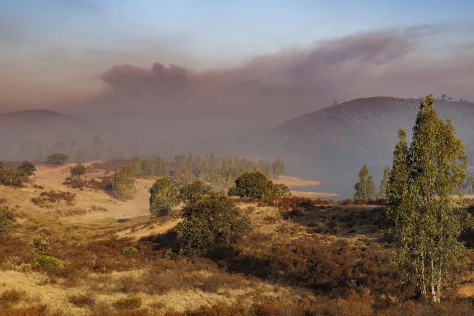 El incendio de Niebla, que afecta ya a 28.000 hectáreas, avanza por el este y entra en la Pata del Caballo, de complicada orografía y densa masa forestal – El Mundo