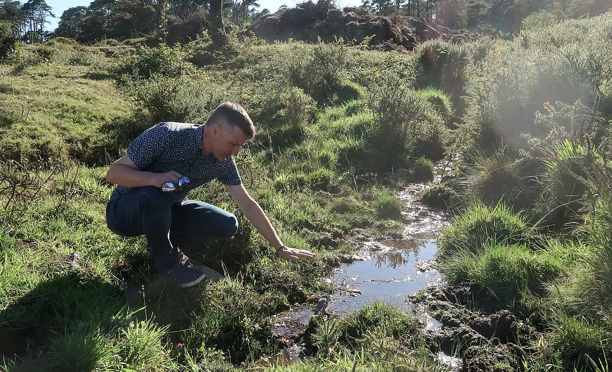 El verano que está borrando el verde de Galicia: «Nunca nos habíamos enfrentado a una sequía tan grave» – elmundo.es