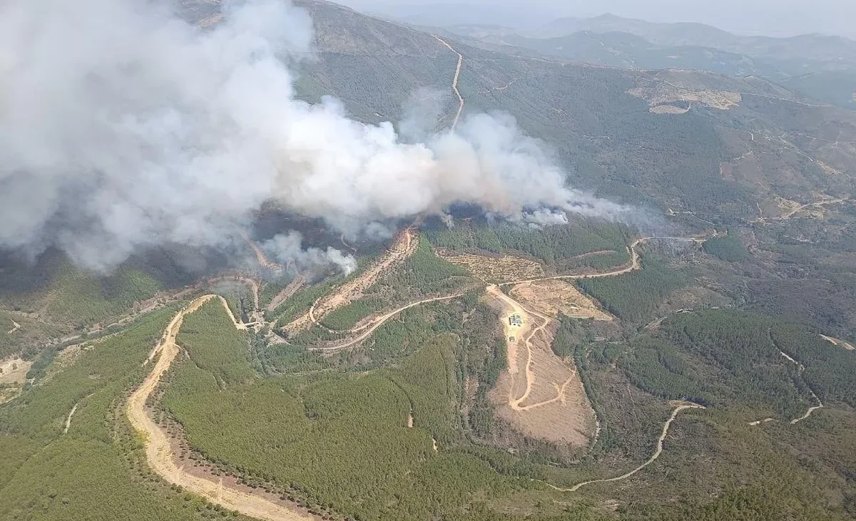 Un incendio en la comarca de Las Hurdes (Cáceres) obliga a la evacuación de los vecinos de una arquería – El Mundo