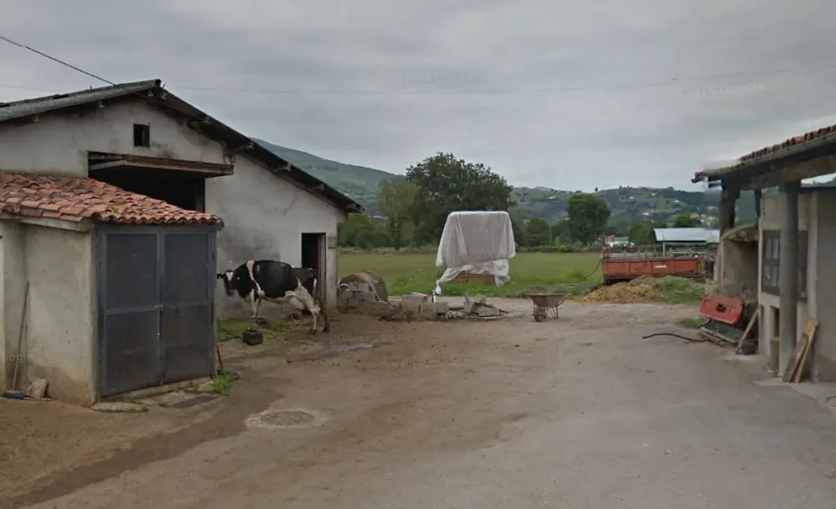 Muere un ganadero de 58 años tras sufrir la cornada de uno de sus toros en Saro (Cantabria) – El Mundo