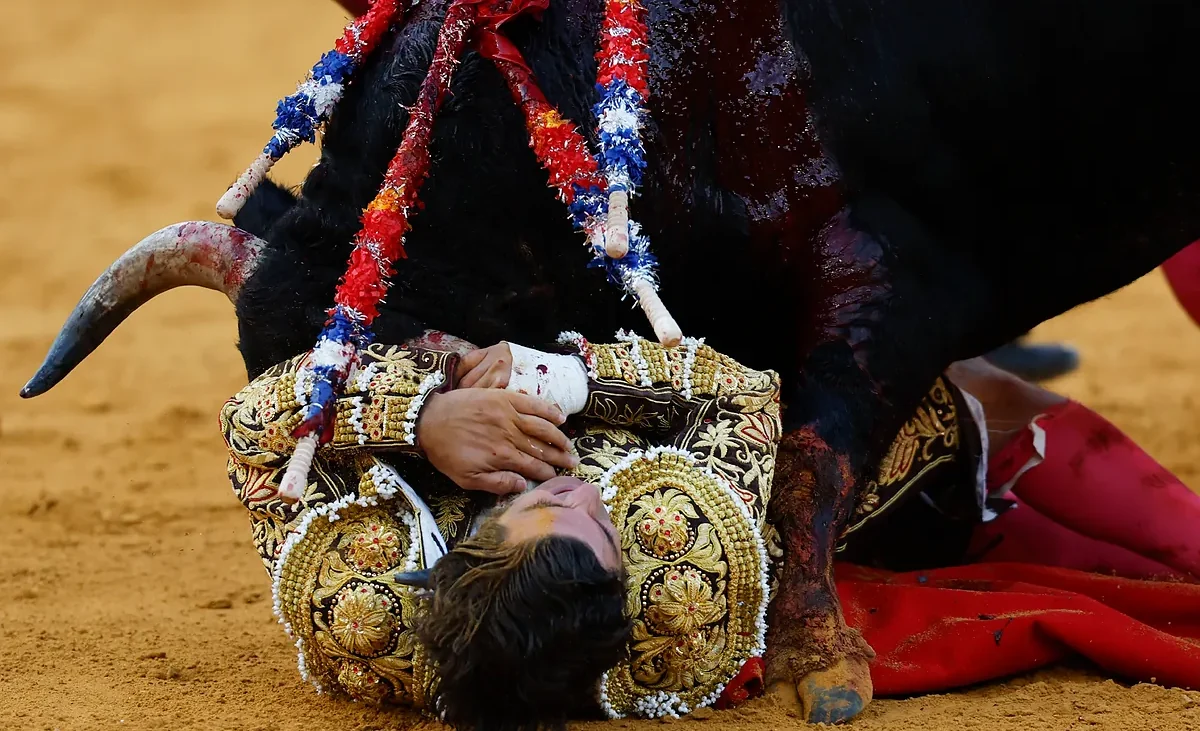 Morante vuelve a nacer entre la incomprensión; triunfan Roca Rey y Miranda en Málaga – El Mundo