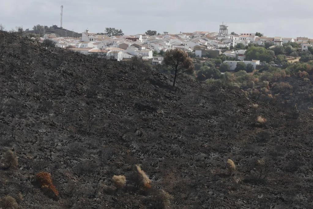 El incendio de Niebla (con 33.000 hectáreas quemadas) provoca grandes pérdidas en la producción de corcho y bellotas y compromete la campaña de montanera del cerdo ibérico – El Mundo
