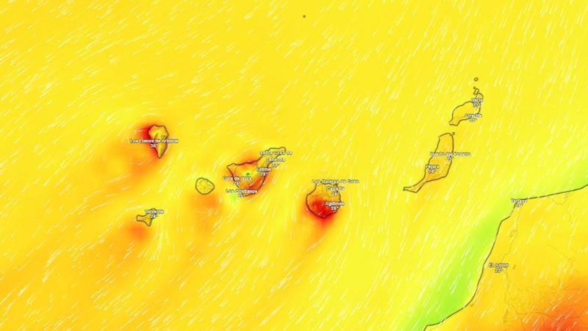 ¿Cuándo finaliza la ola de calor en Canarias? Esta es la previsión de la Aemet – Eldía