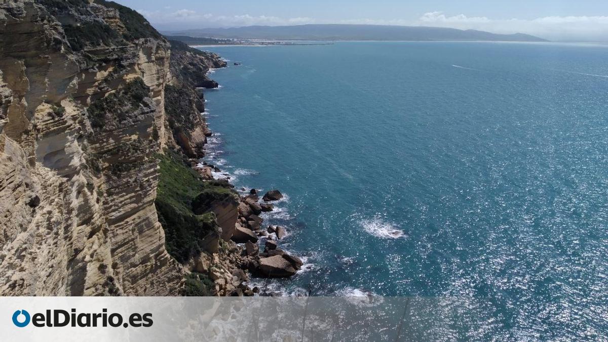 La gran megaurbanización de Andalucía vuelve a la carga para levantar en Barbate un complejo mayor que el propio pueblo – elDiario.es